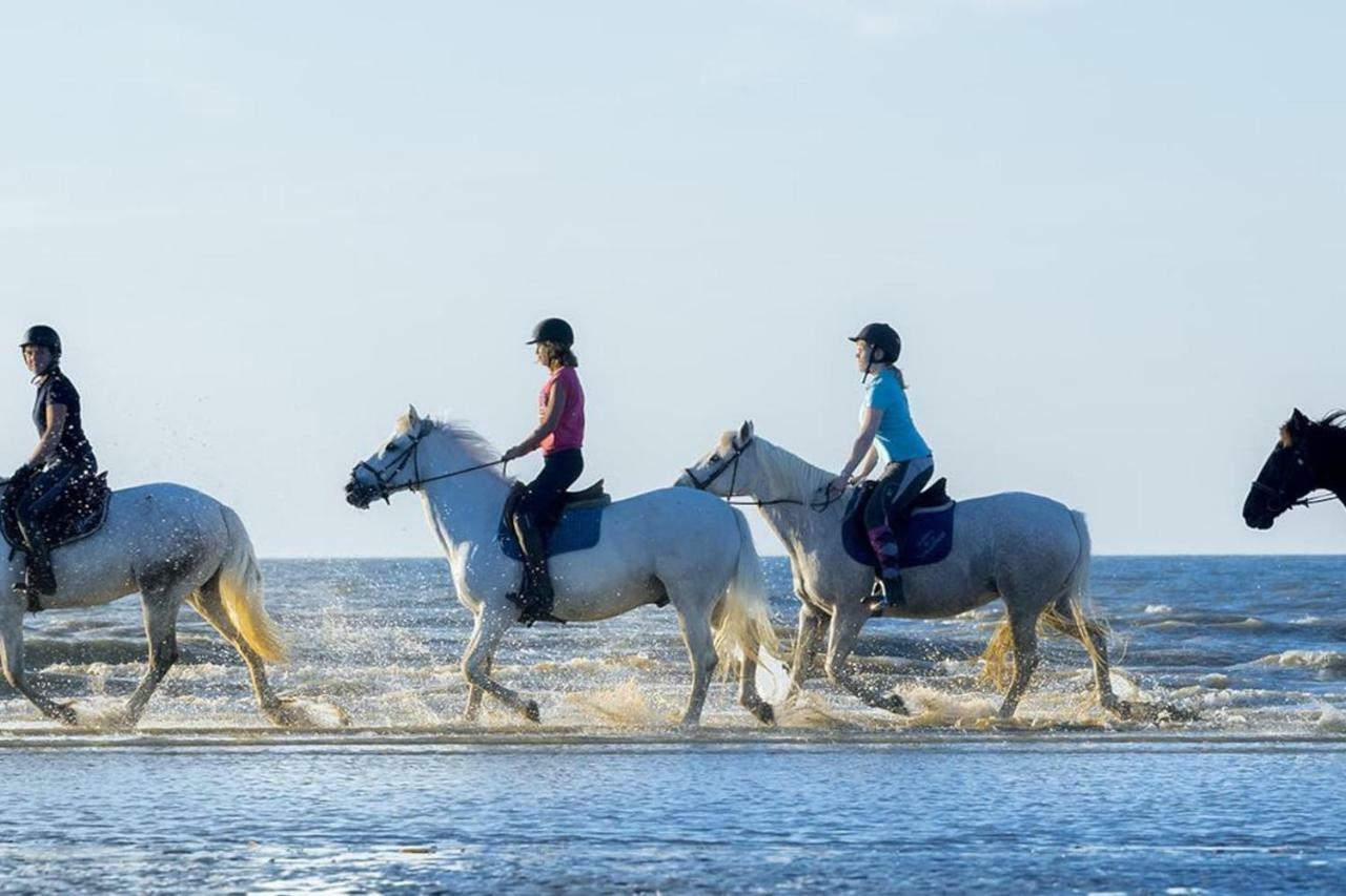 Charmant 2 Pieces A 500 M Des Plages Et Du Centre 卡布尔 外观 照片
